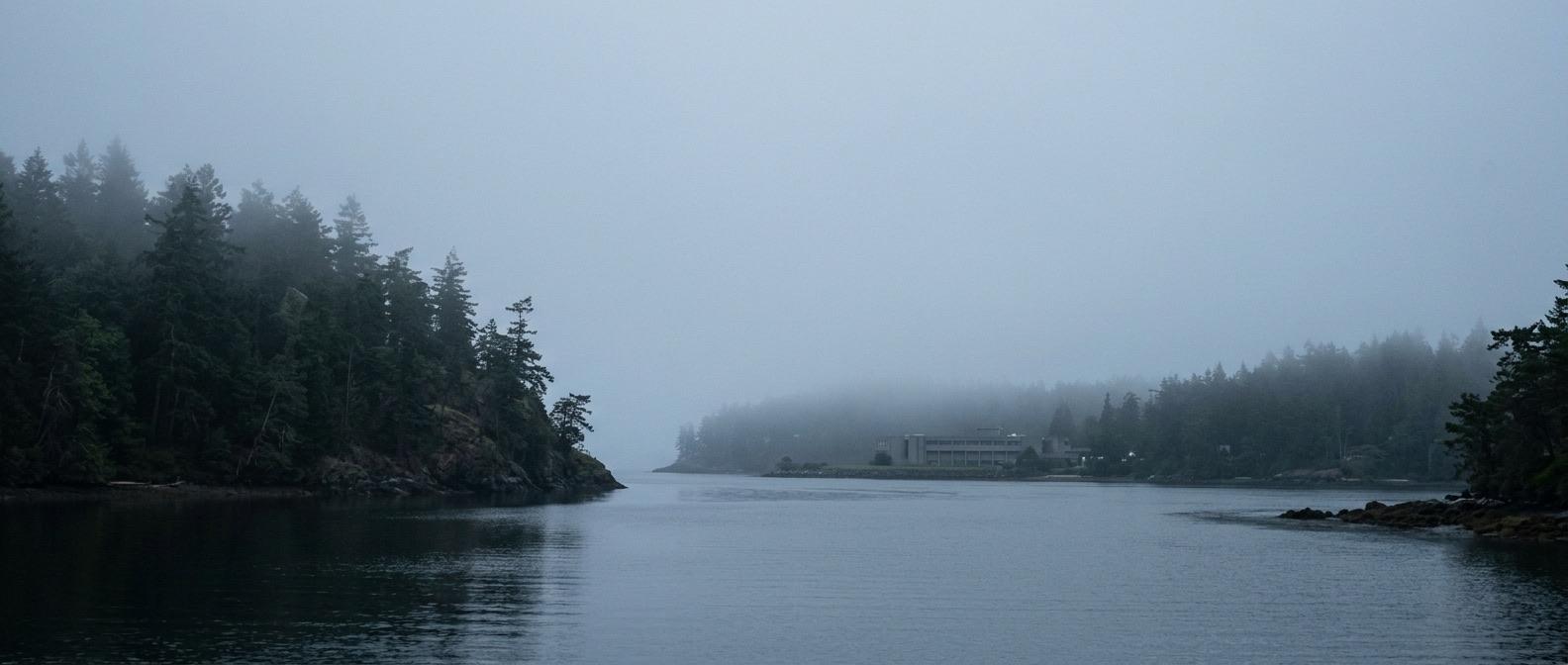 Puget Sound in early morning fog, conifers on the headland, a low school building in the middle distance